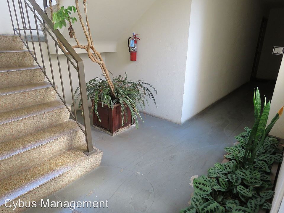 1st image of 1230 Clayton St APT 1