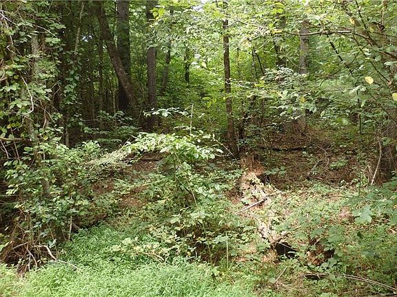 4th image of 19 Turkey Creek Rd