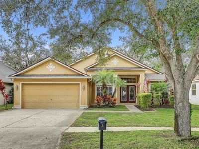 15129 Shearcrest Dr, Lithia, FL, 33547