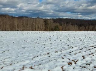 0 Starr Rd LOT 3, Campbell, NY 14821