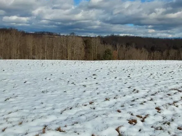 0 Starr Rd Lot 3, Campbell, NY 14821