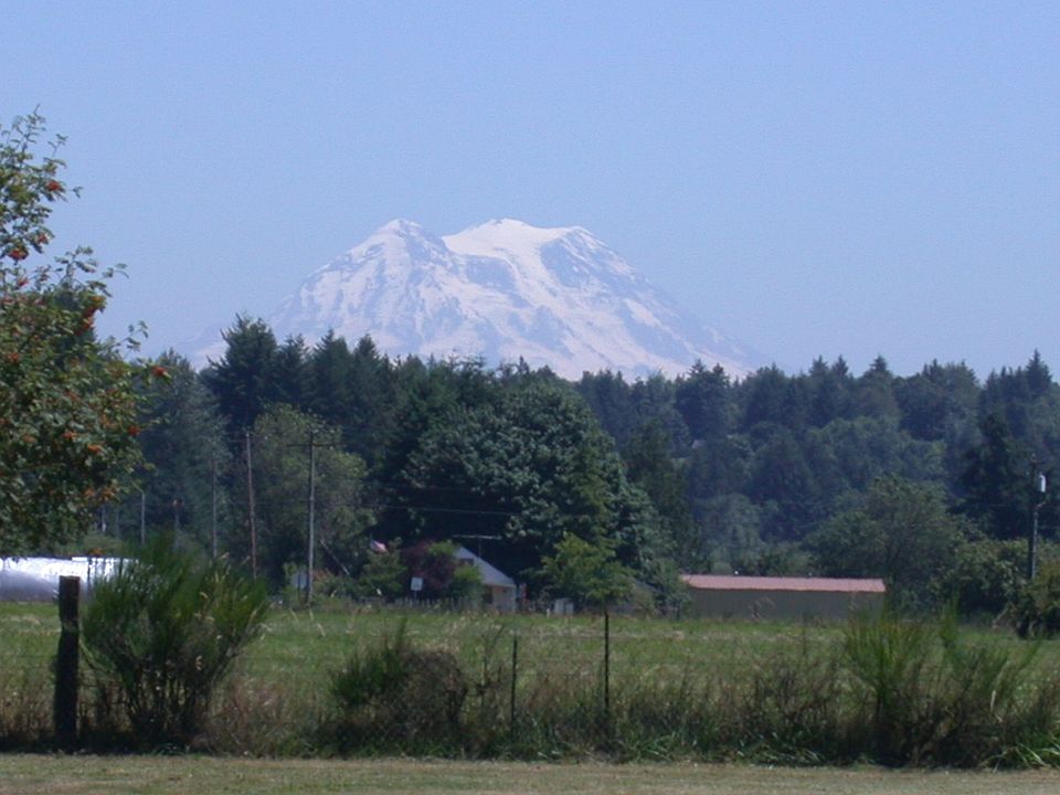 2nd image of 9942 Francesca Ln SW