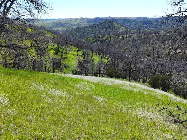LOT 85 Jeffrey Rd, Igo, CA 96047