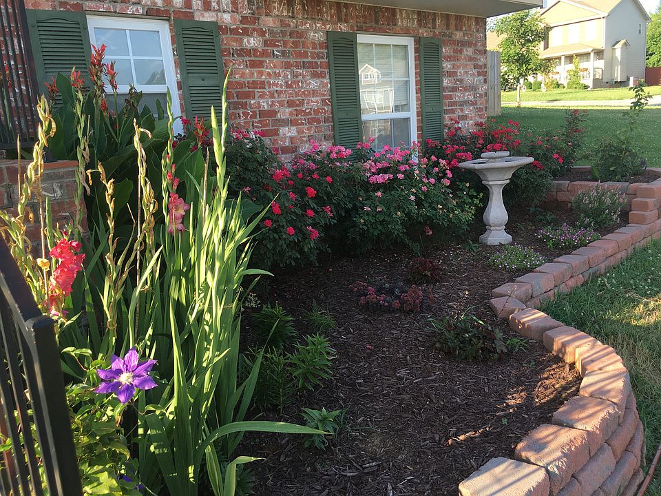 1st image of 1684 Buchanon Dr