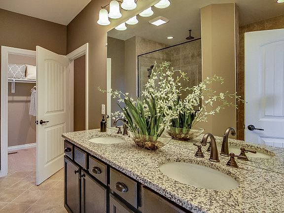 Model Representation