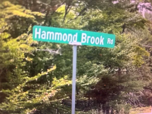 Lot #8 Hammond Brook Road Road #8, Monson, ME 04464