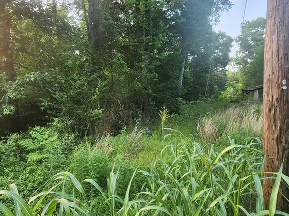 0 Blackberry Rd, Camden, TN 38320