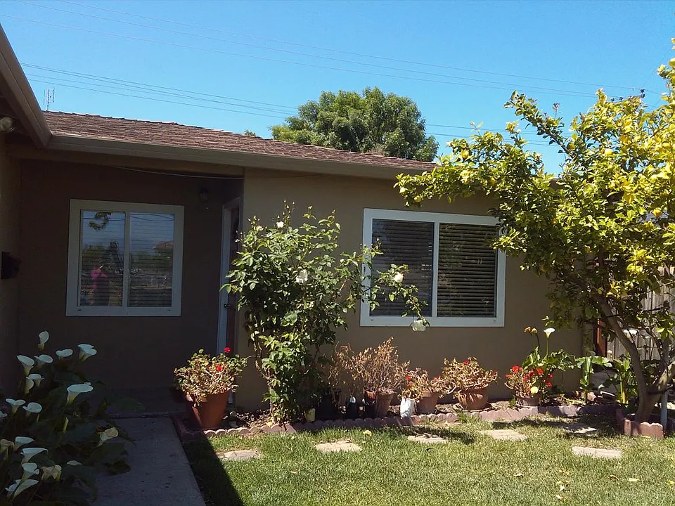 Front yard
