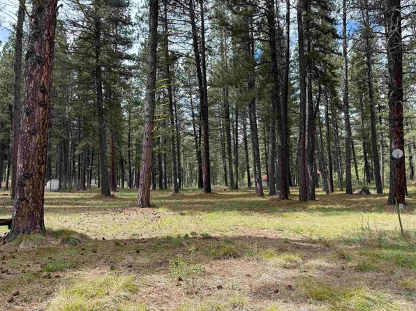 5 Ranft Dr, Idaho City, ID 83631