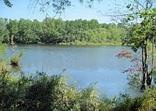 2nd image of Lake Lot