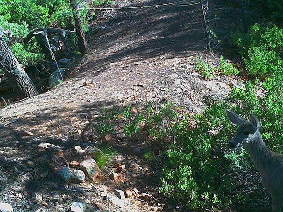 3rd image of 6373 CEDAR CRST -- #197