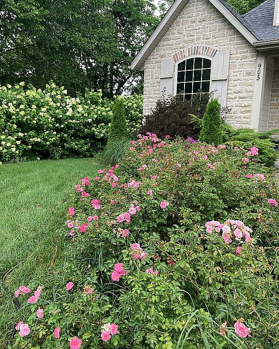 2nd image of 905 W Ivy Creek Dr