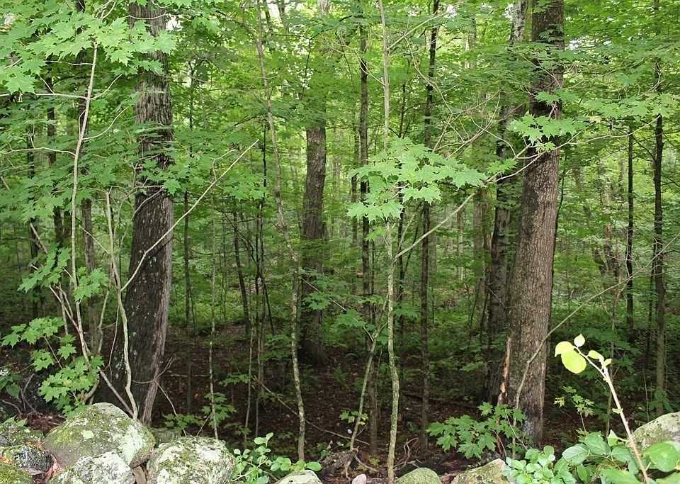 5 Cedar Swamp Rd, Monson, MA 01057 Zillow