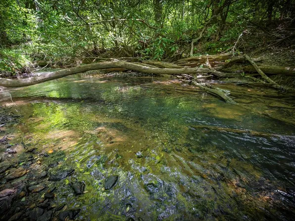 1-1A Jonica Gap Rd, Mineral Bluff, GA 30559