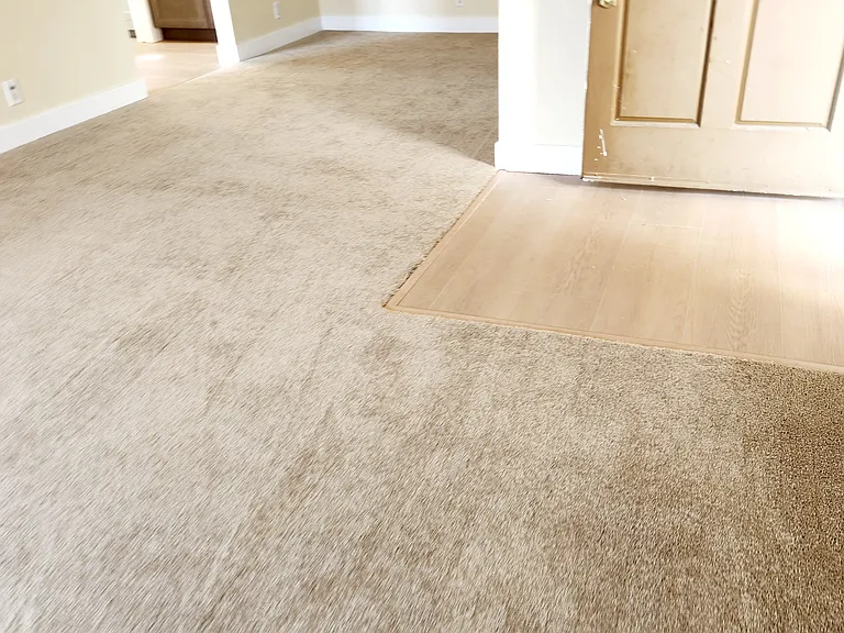 830 Broadway #27 — Photo 19