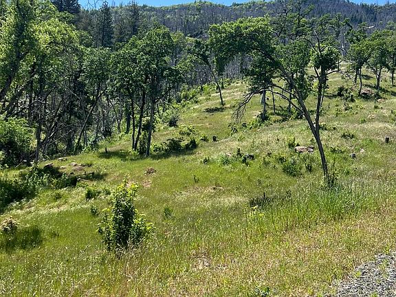 2nd image of 12609 Elk Mountain Road