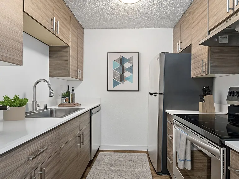 Canopy Apartments — Photo 16