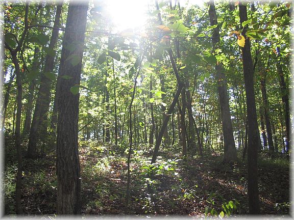 2nd image of 1045 Forest Dr Lot 4
