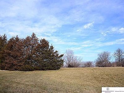 View from the front yard