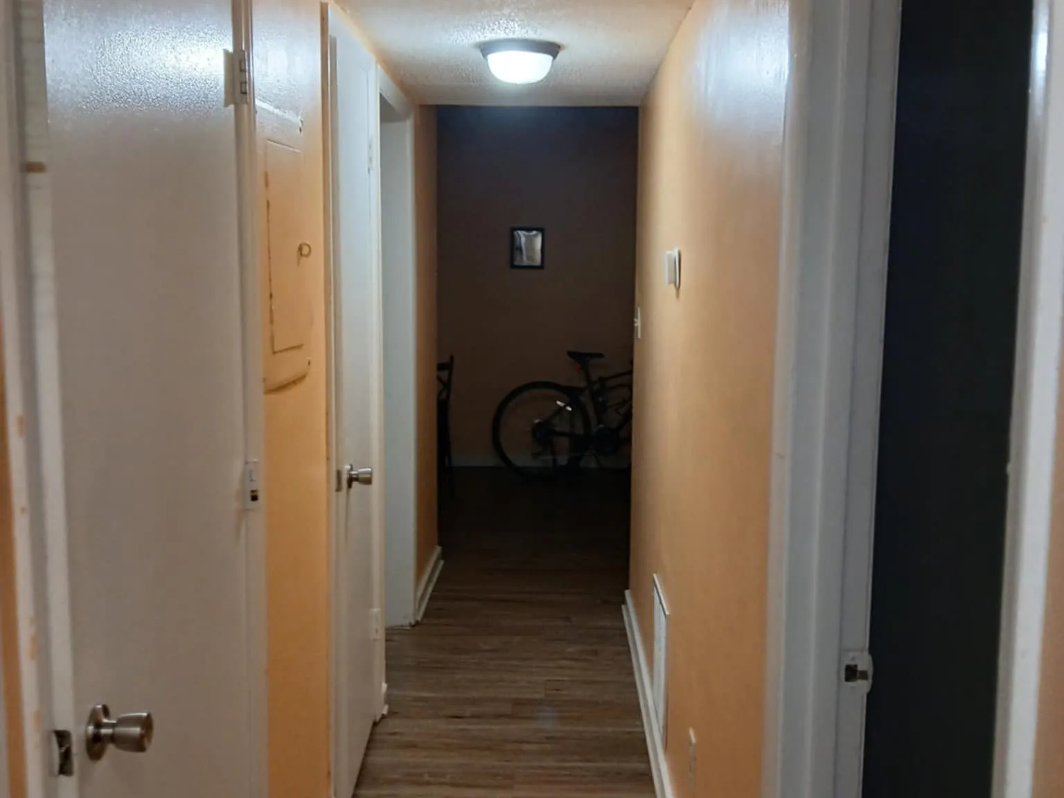 3 bed, 1.5 bath, 1147 sqft, $1,800 — Photo 4