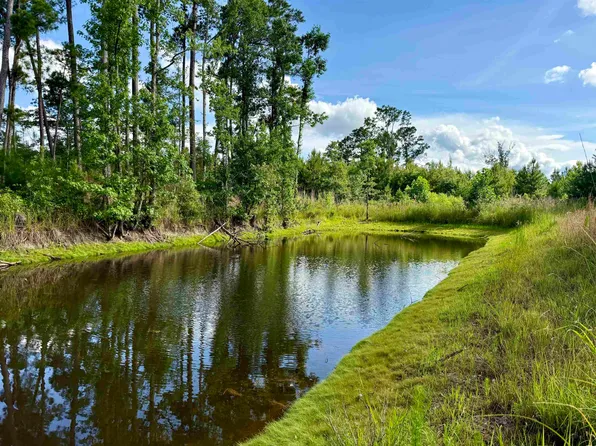85± Acres - Muddy Creek Rd., Johnsonville, SC 29555
