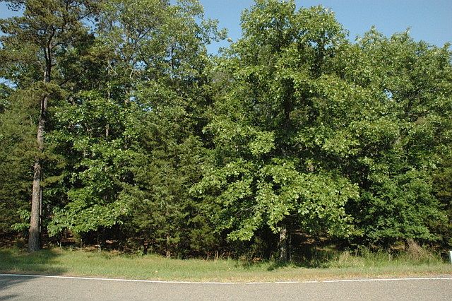 1st image of 000 Crockett Road