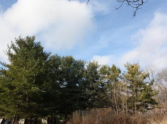 4th image of 3319 County Road 172
