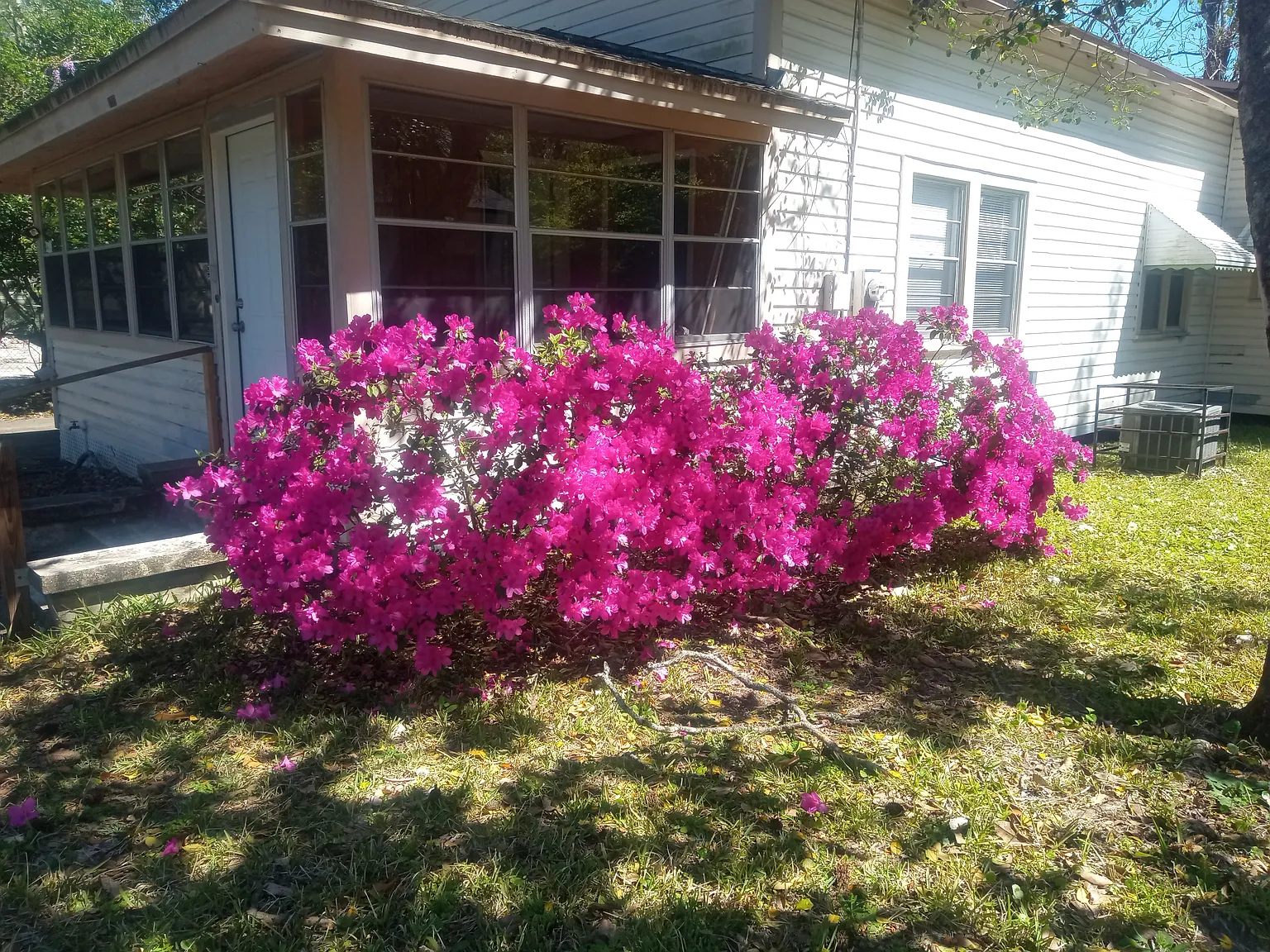 3 bed, 1014 sqft, $1,275 — Photo 1