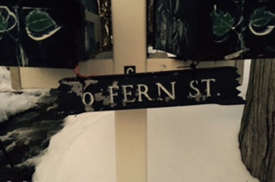 2nd image of 6 Fern St