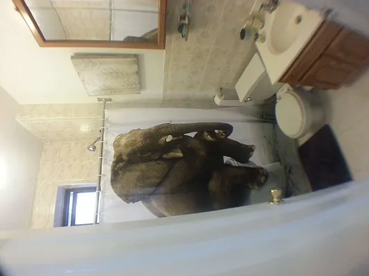 Rented by Riverside NYC Realty LLC | media 5