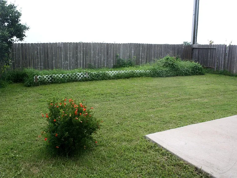 Large Backyard