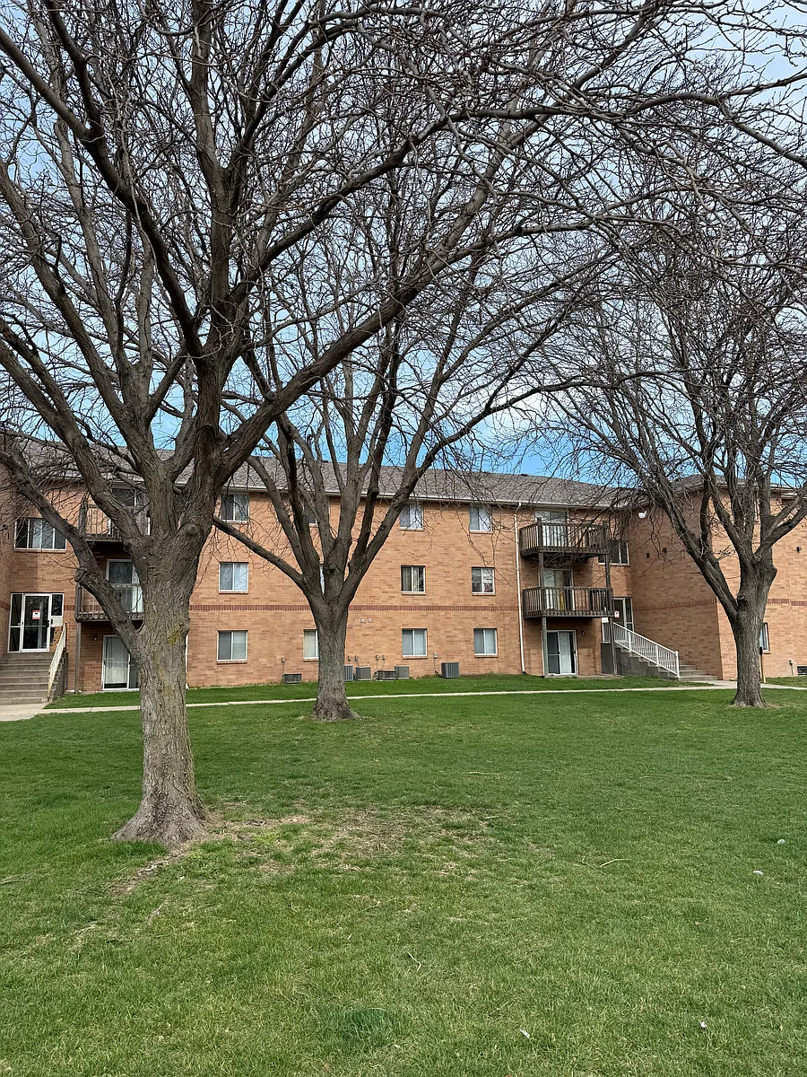 231 Adams St - Pine Tree Apartments