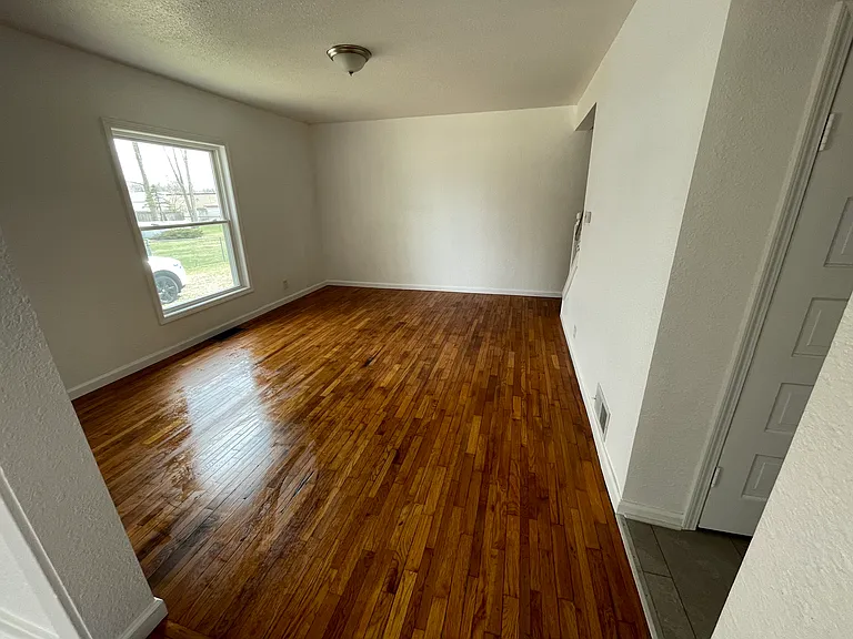 1041 W Temperance Rd — Photo 3