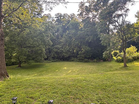 your park like back lawn