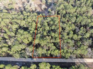 Vacant Ne Timber River Loop, Lee, FL 32059