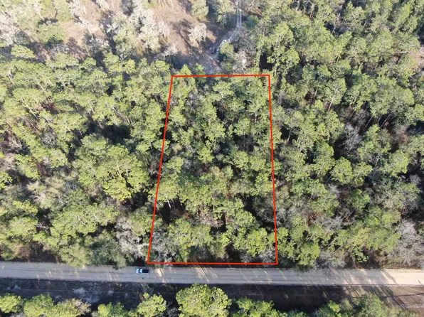 Vacant Ne Timber River Loop, Lee, FL 32059