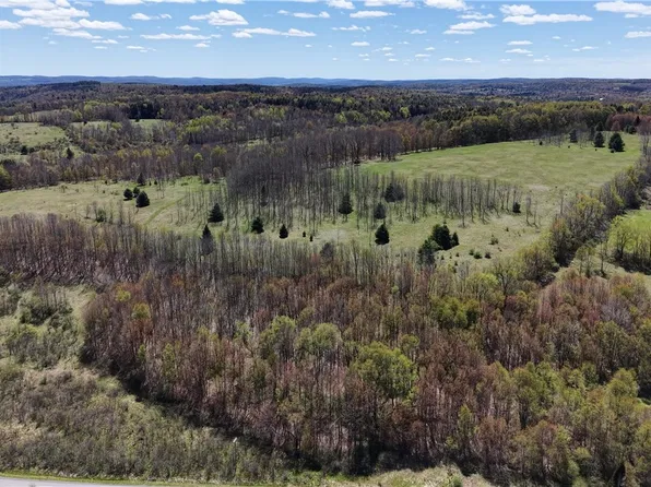 Id 53 & 54 Burski & Miller Rd Lot 54, New Berlin, NY 13411