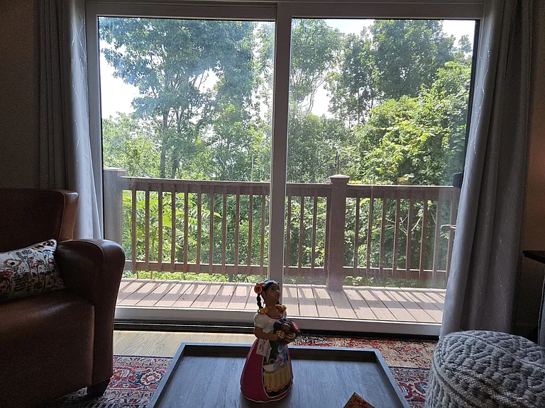 Living room porch doors