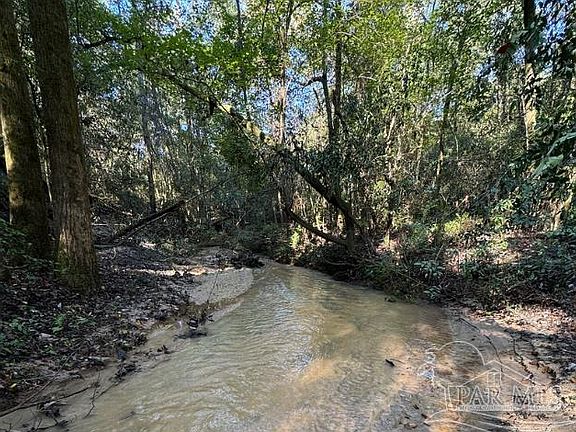 2nd image of 85/ACRE S Wiley Scott Rd