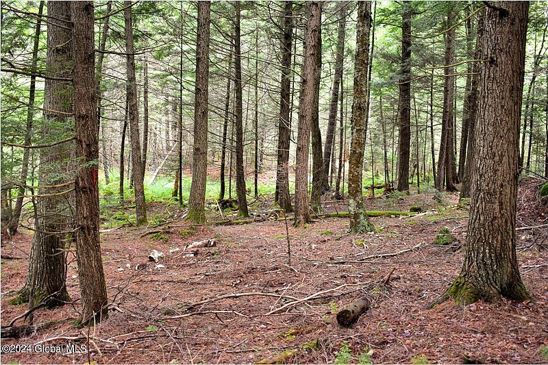5th image of 3-4 Adirondack Heights Road