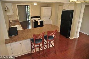 View from dinning room