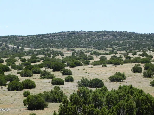 County Road N5335, Concho, AZ 85924