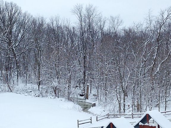 Winter view from deck