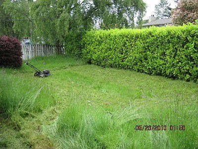 2nd image of 1706 SW 324th St
