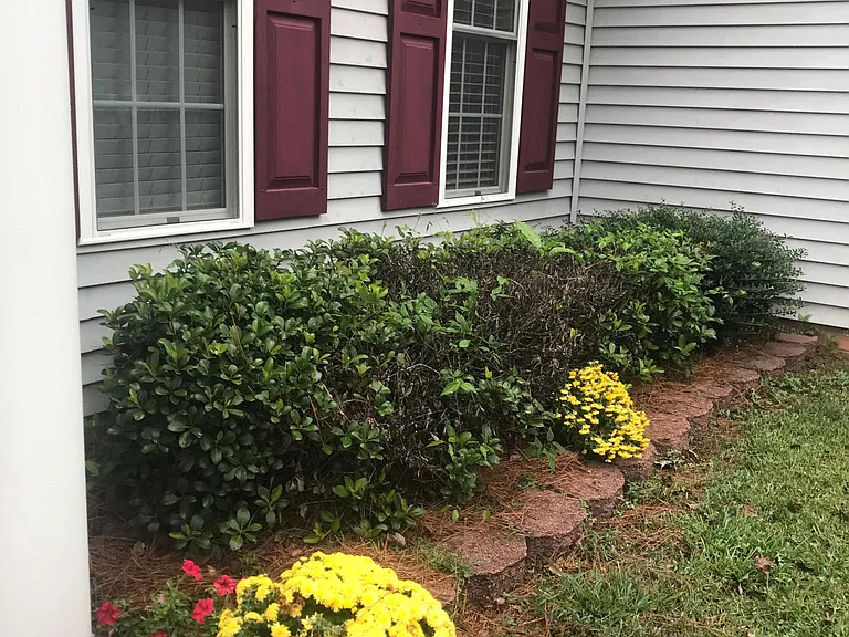 Cedar Rock Church Rd — Photo 17