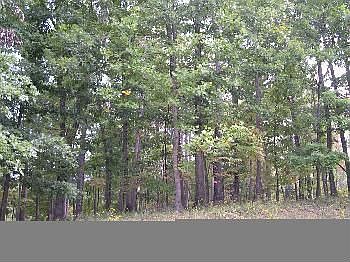 1st image of 6105 Longbranch Ct