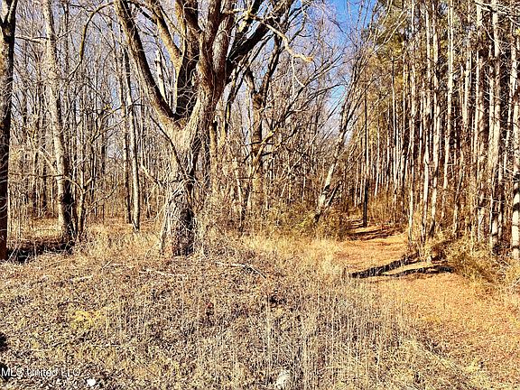 2nd image of 0 Moore Rd