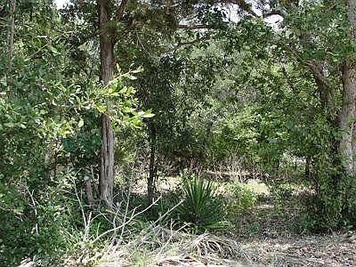 For Sale: 5634 Denmans Loop, Belton, Tx 76513