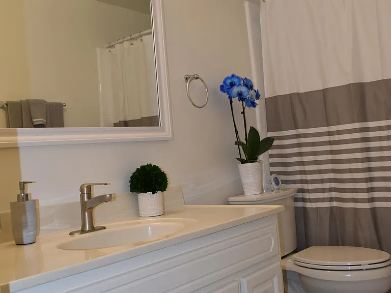 Renovated Guest Bathroom