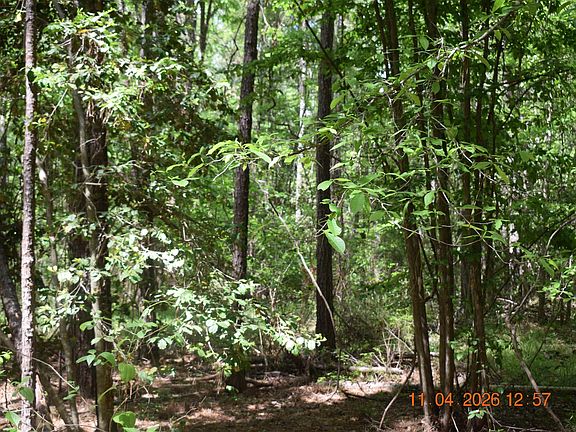 2nd image of 0 Cameron Rd